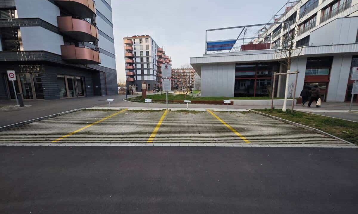 Photo of Others in Uster District
