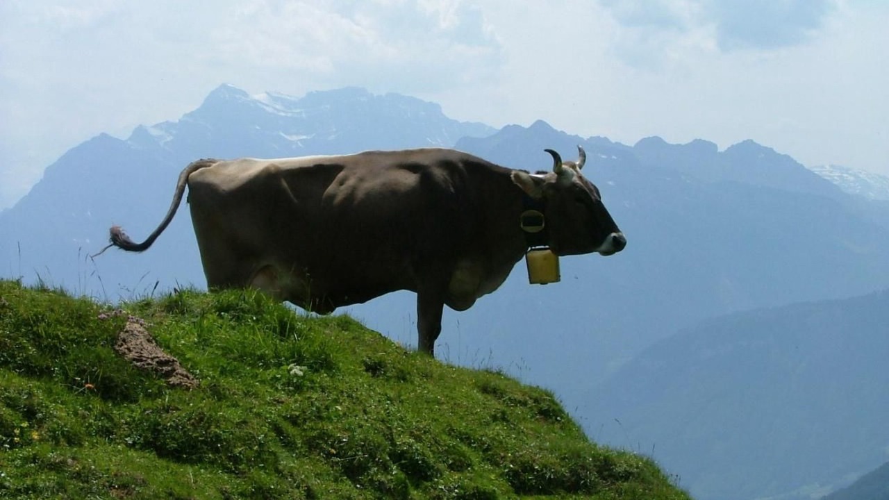 Photo of Others in Lungern