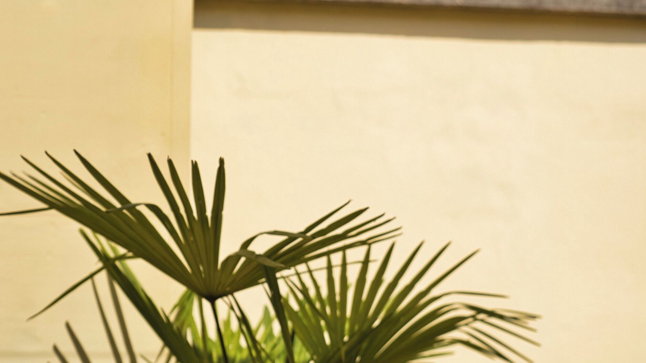 Photo of Outdoor in Lecco