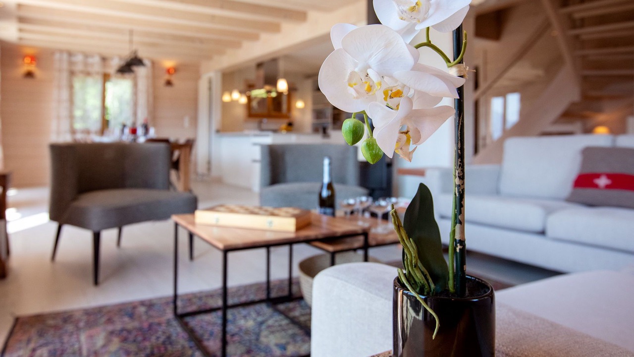 Photo of Livingroom in Chesieres