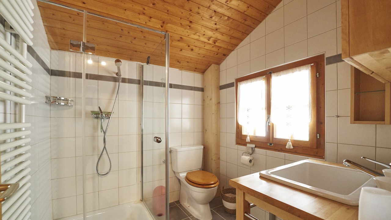 Photo of Bathroom in Lauenen Bei Gstaad
