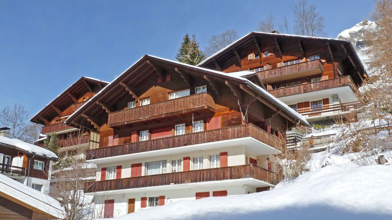 Photo of Others in Wengen