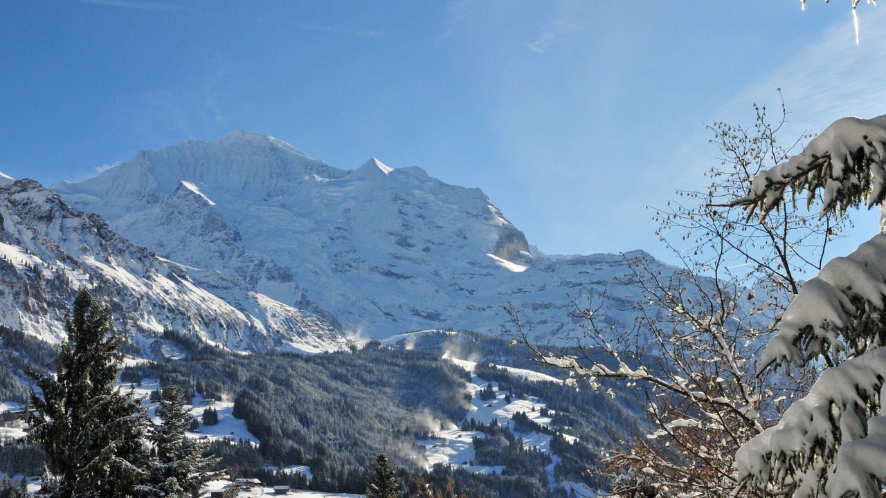Photo of Others in Wengen
