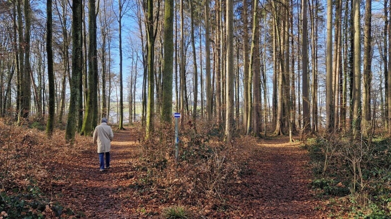 Photo of Others in Gurmels