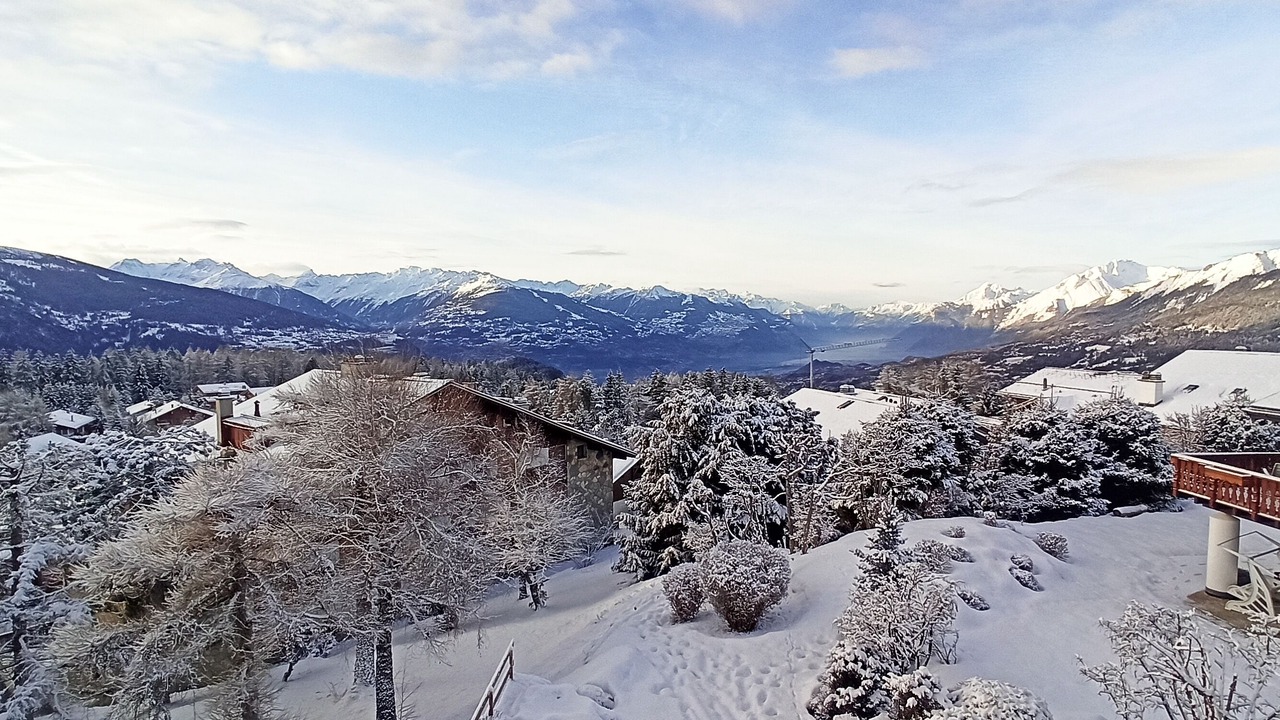 Photo of Outdoor in Lens