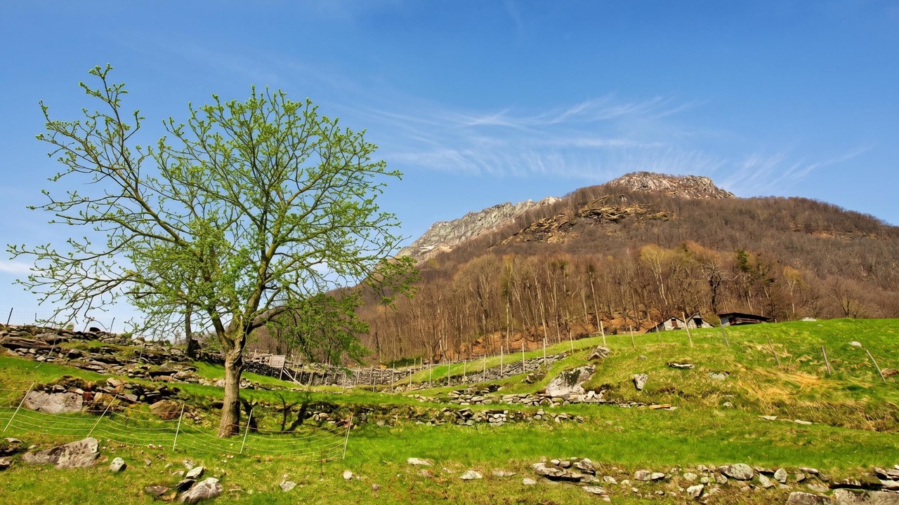 Photo of Others in Lavertezzo