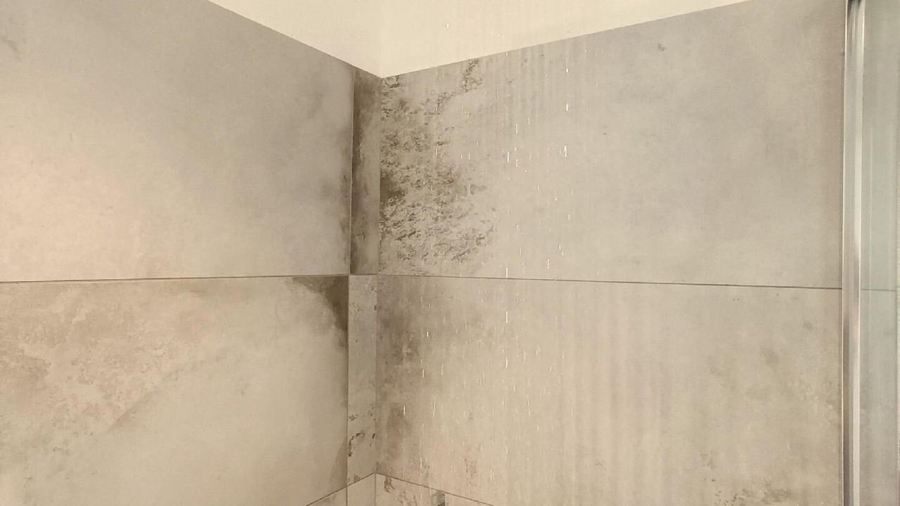 Photo of Bathroom in Someraro
