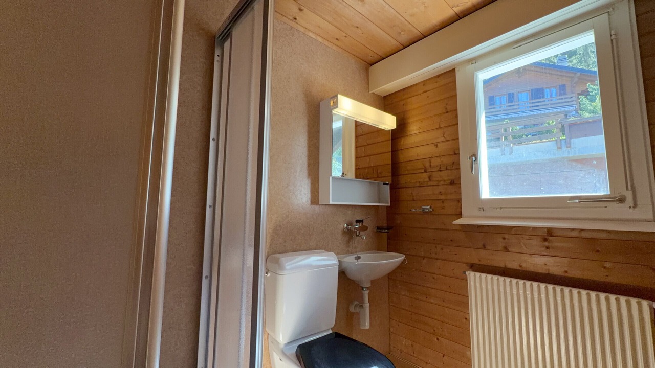 Photo of Bathroom in Nendaz