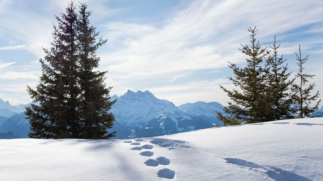 Photo of Others in Villars-sur-Ollon