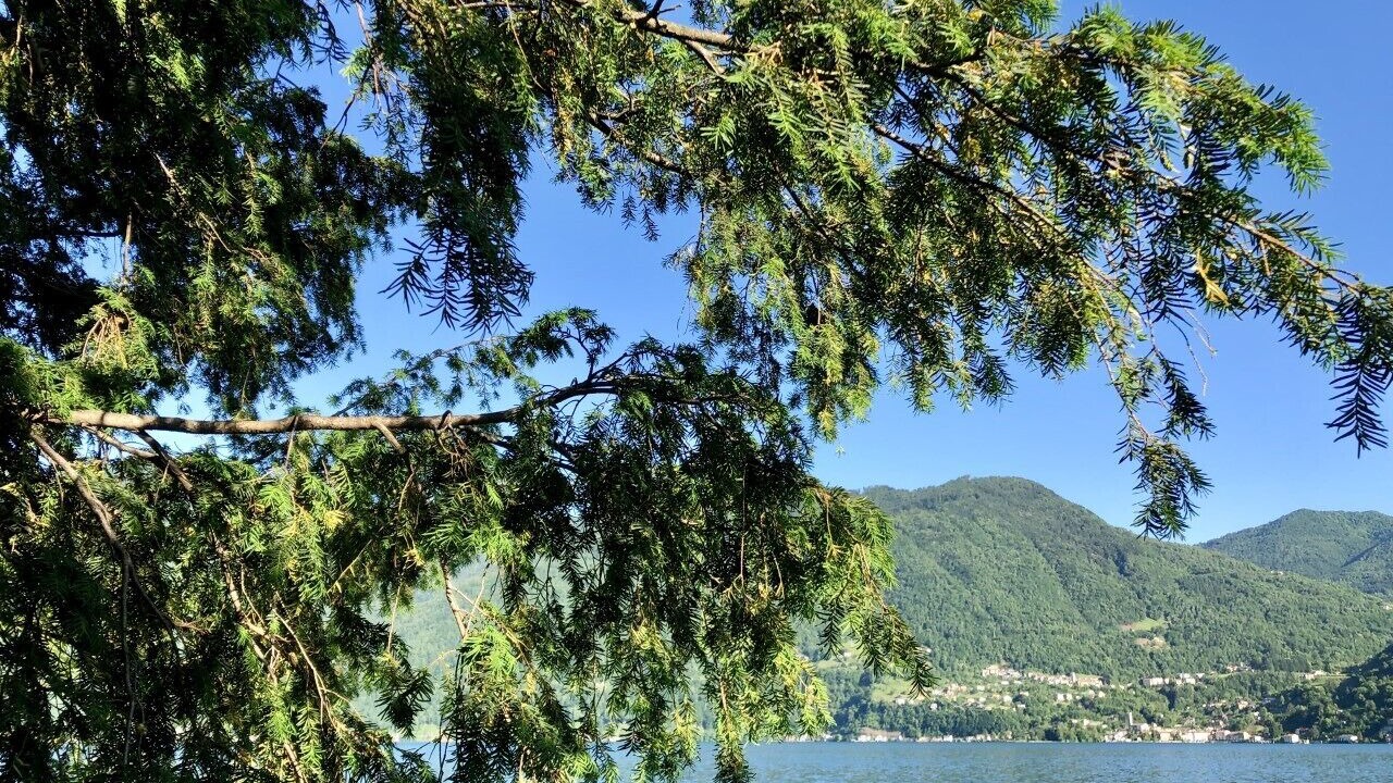 Photo of Others in Cressogno
