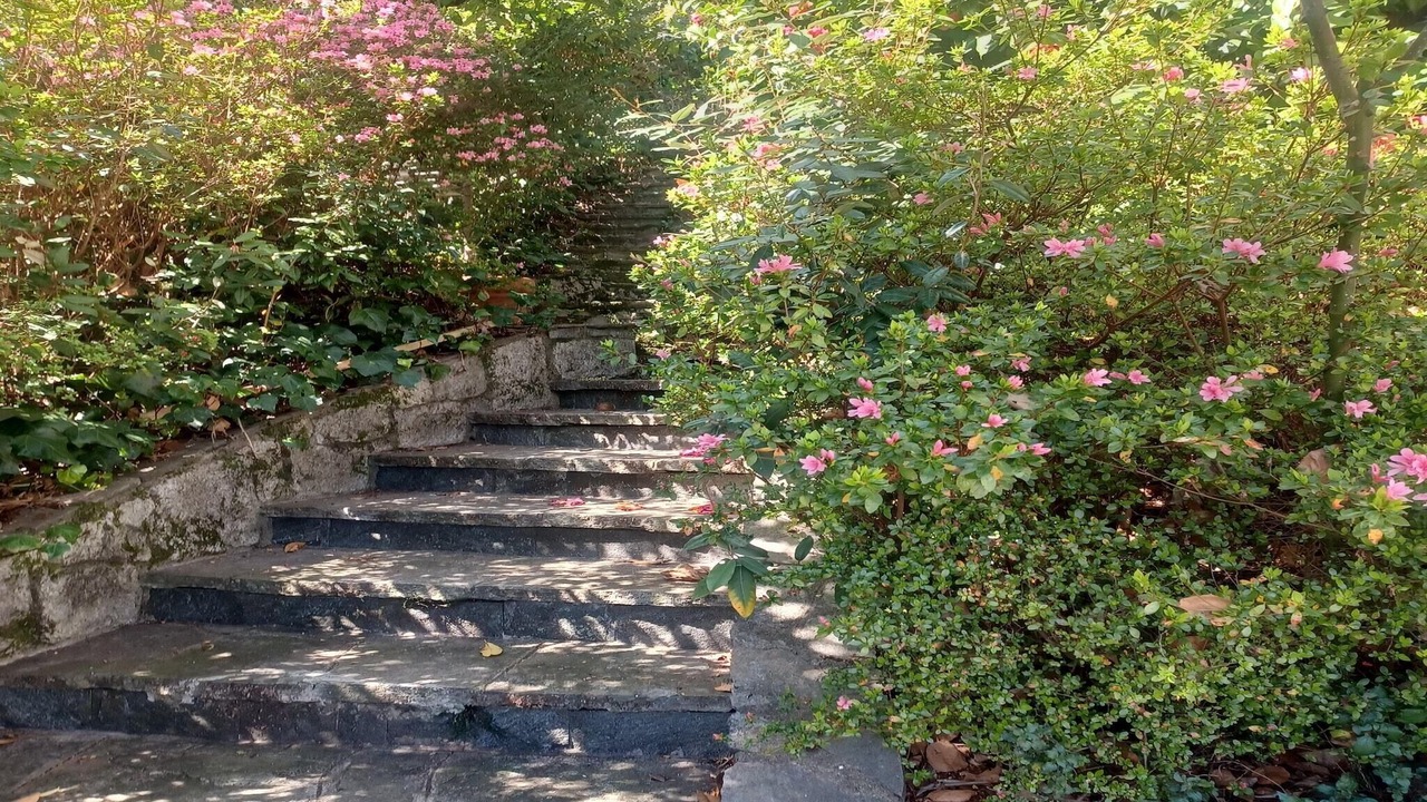 Photo of Outdoor in Ghiffa