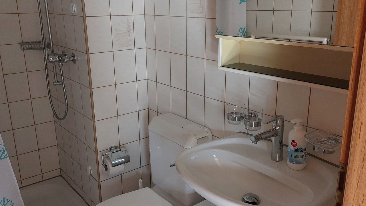 Photo of Bathroom in Giswil