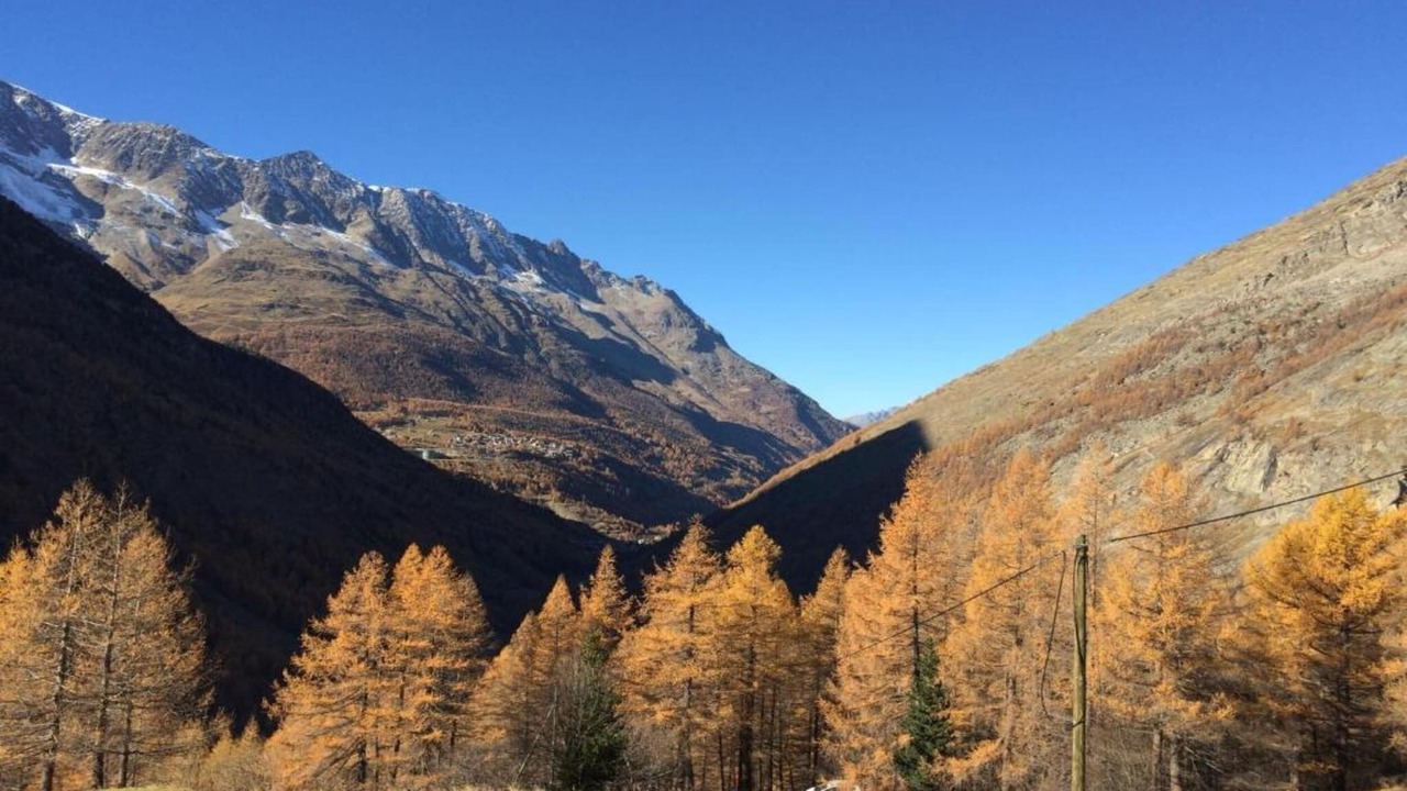 Photo of Others in Saas Grund