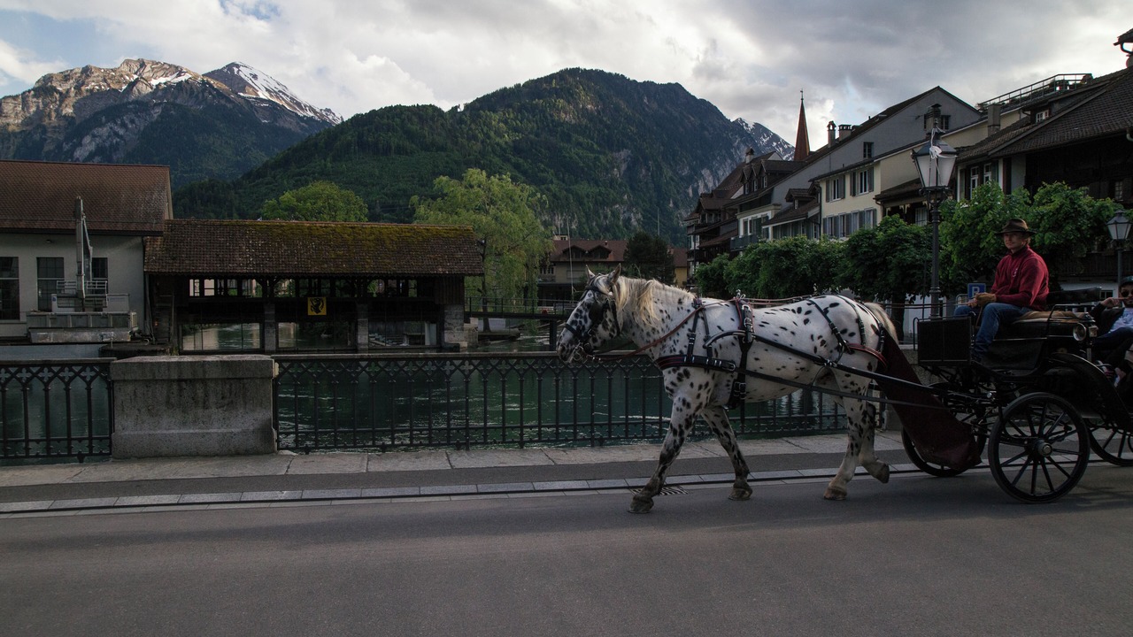 Photo of Outdoor in Unterseen