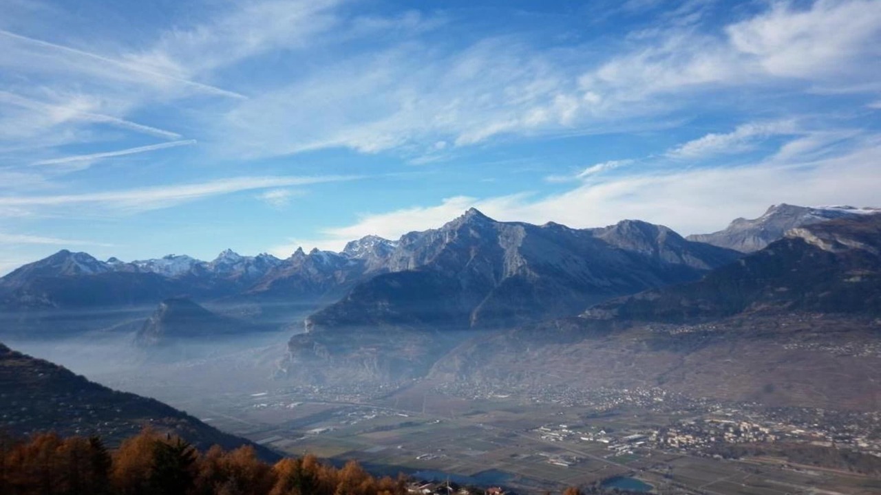 Photo of Others in Sion