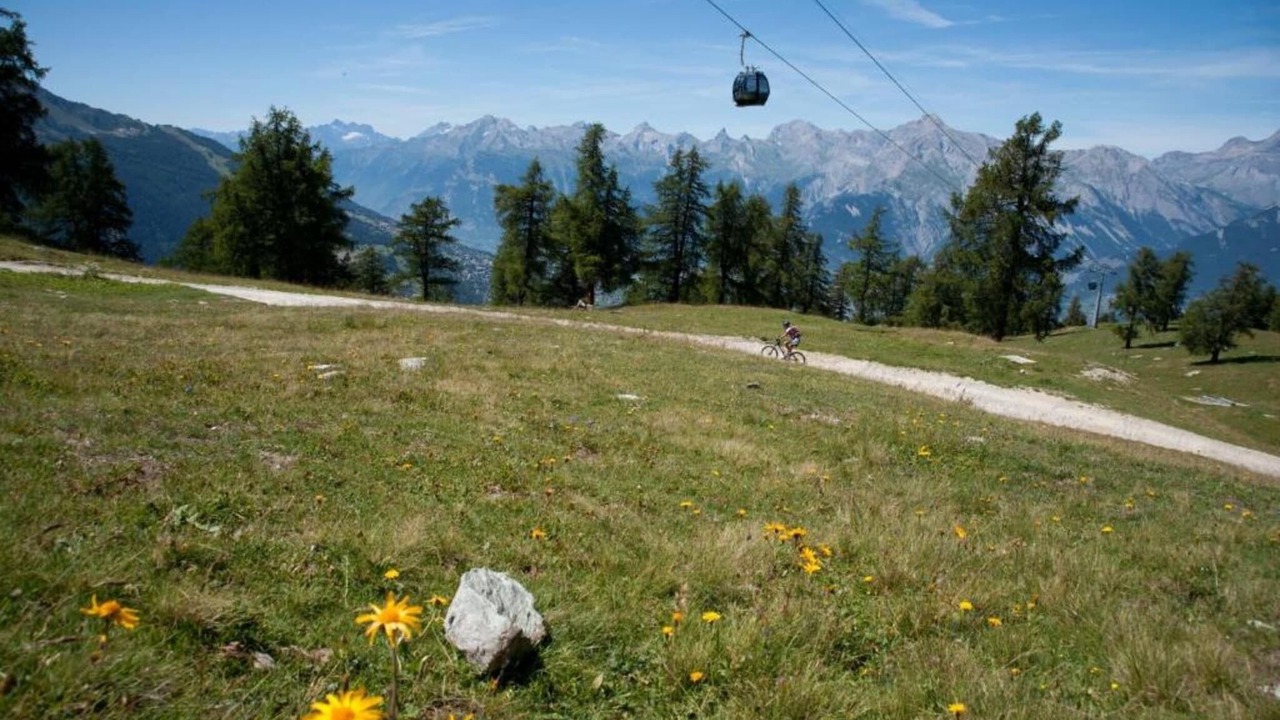 Photo of Others in Sion