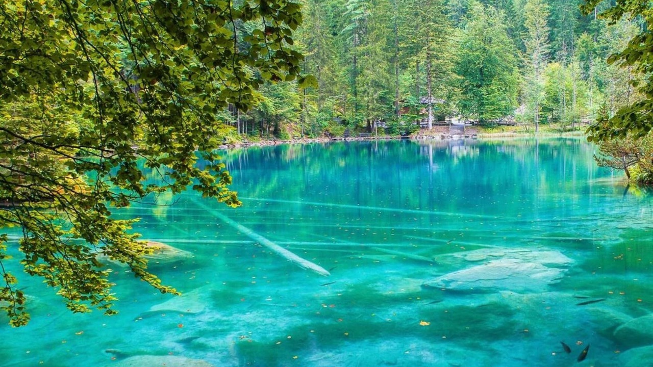 Photo of Others in Blausee