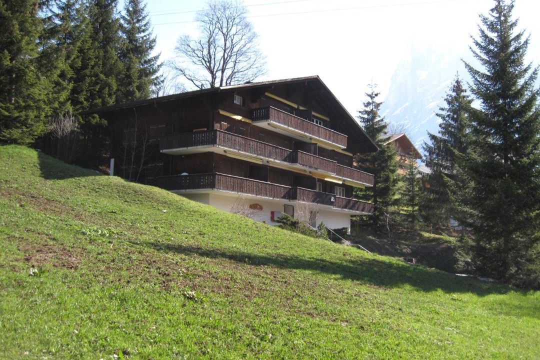 Photo of Others in Grindelwald