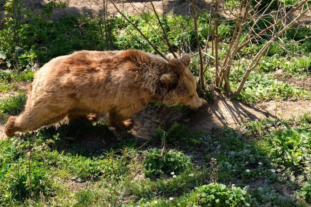 Photo of Others in Breitenrain-Lorraine
