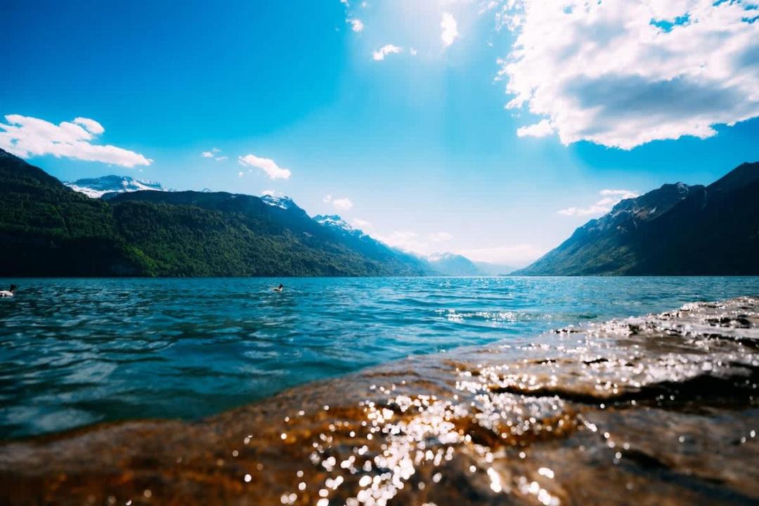 Photo of Others in Brienz