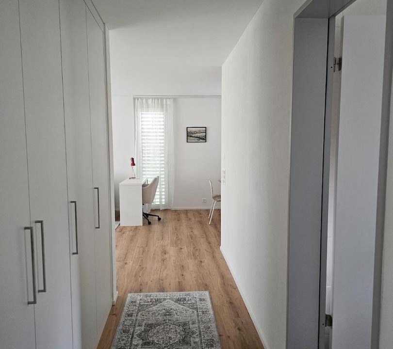 Photo of Others in Horgen District