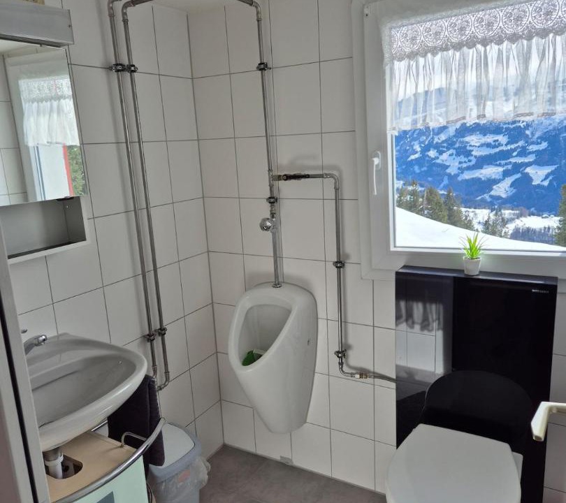 Photo of Bathroom in Schwyz