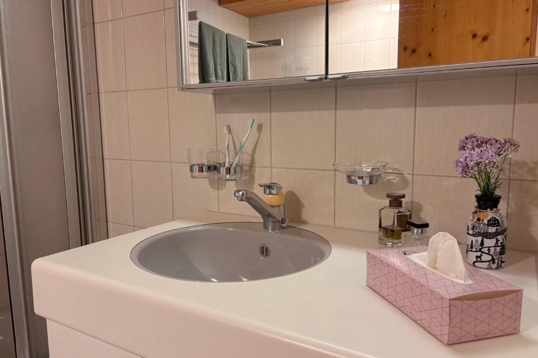 Photo of Bathroom in Aeschi bei Spiez