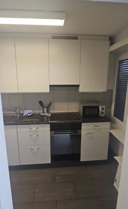 Photo of Kitchen in Freienbach