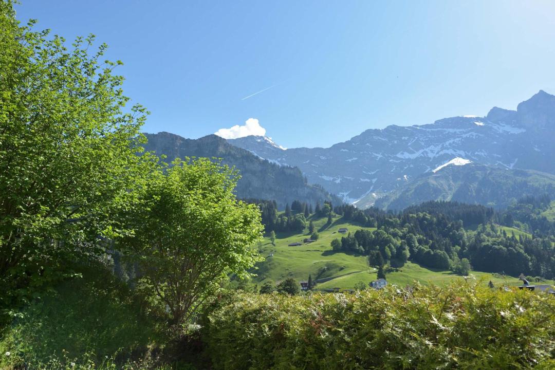 Photo of Others in Engelberg