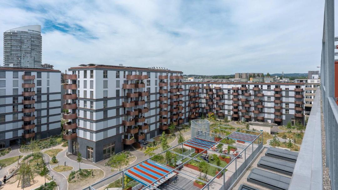 Photo of Others in Uster District