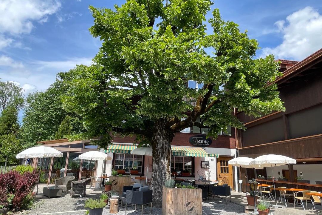 Photo of Others in Lenk