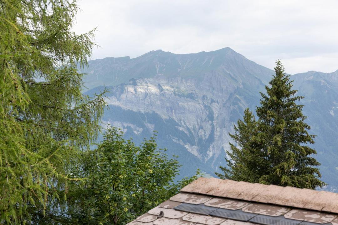 Photo of Others in Axalp