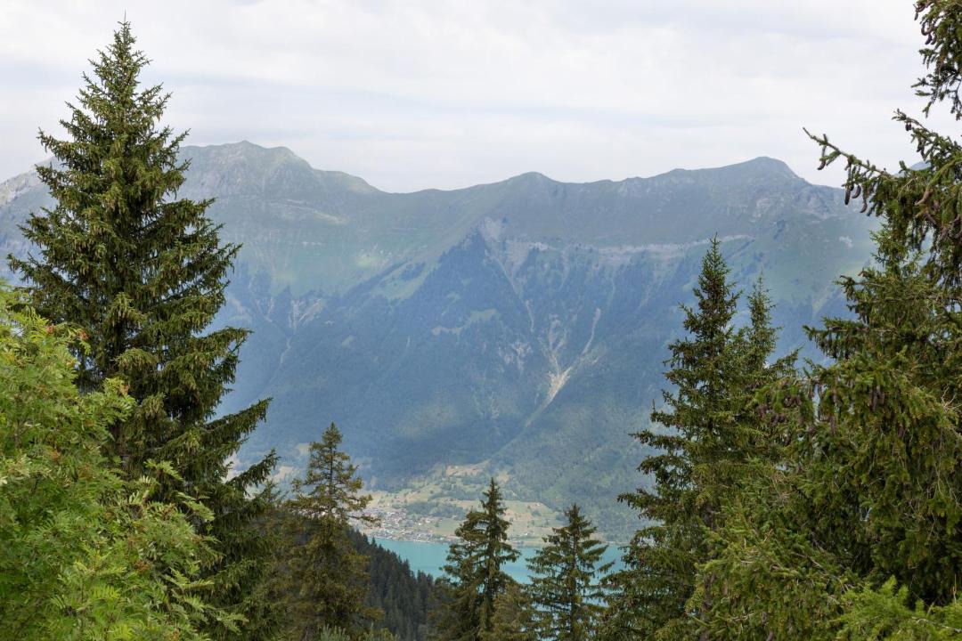 Photo of Others in Axalp