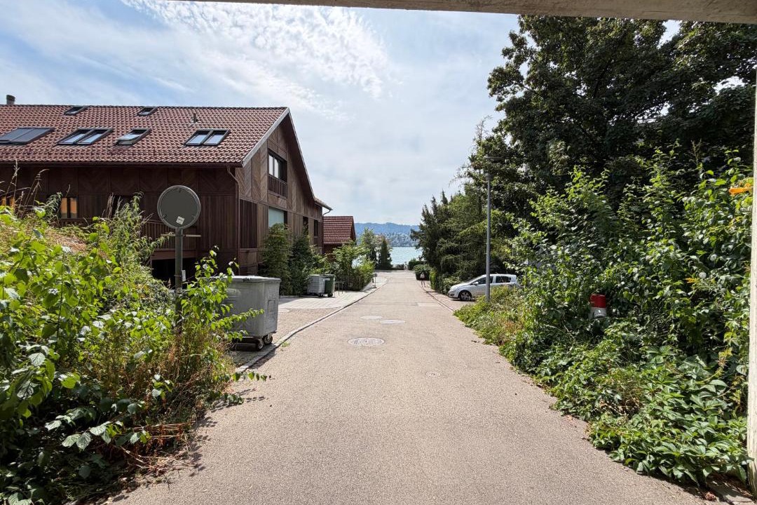 Photo of Others in Meilen District