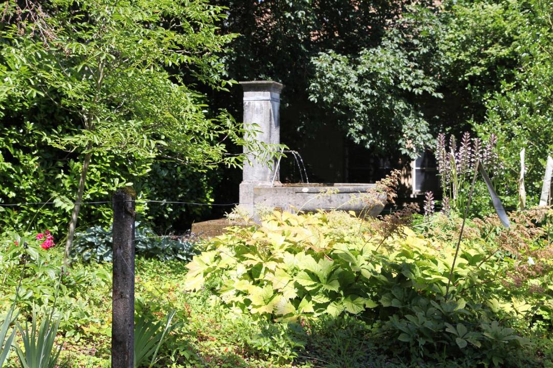 Photo of Others in Birrwil