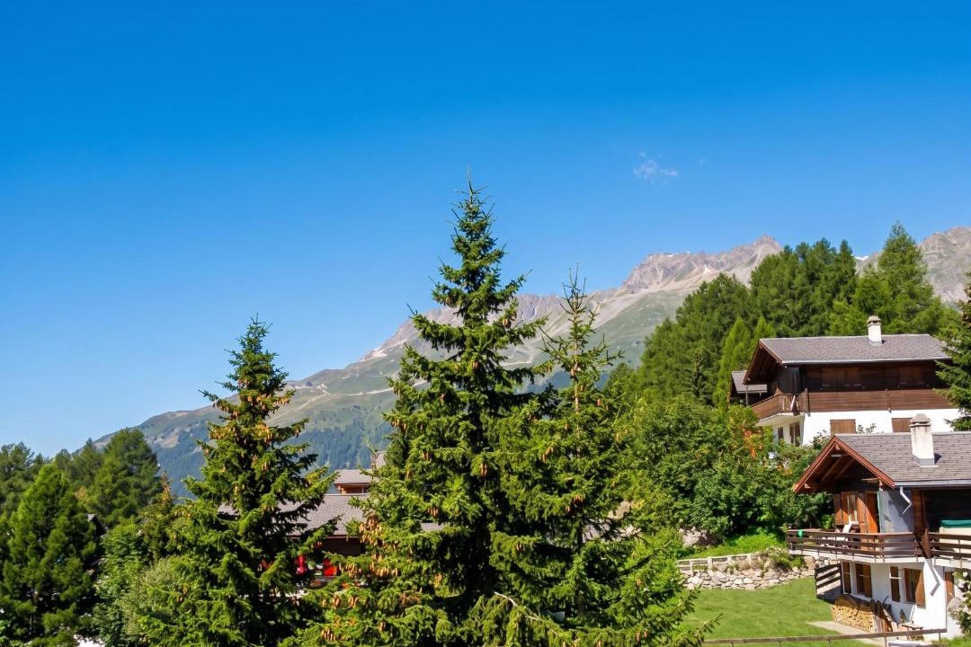 Photo of Others in Bellwald