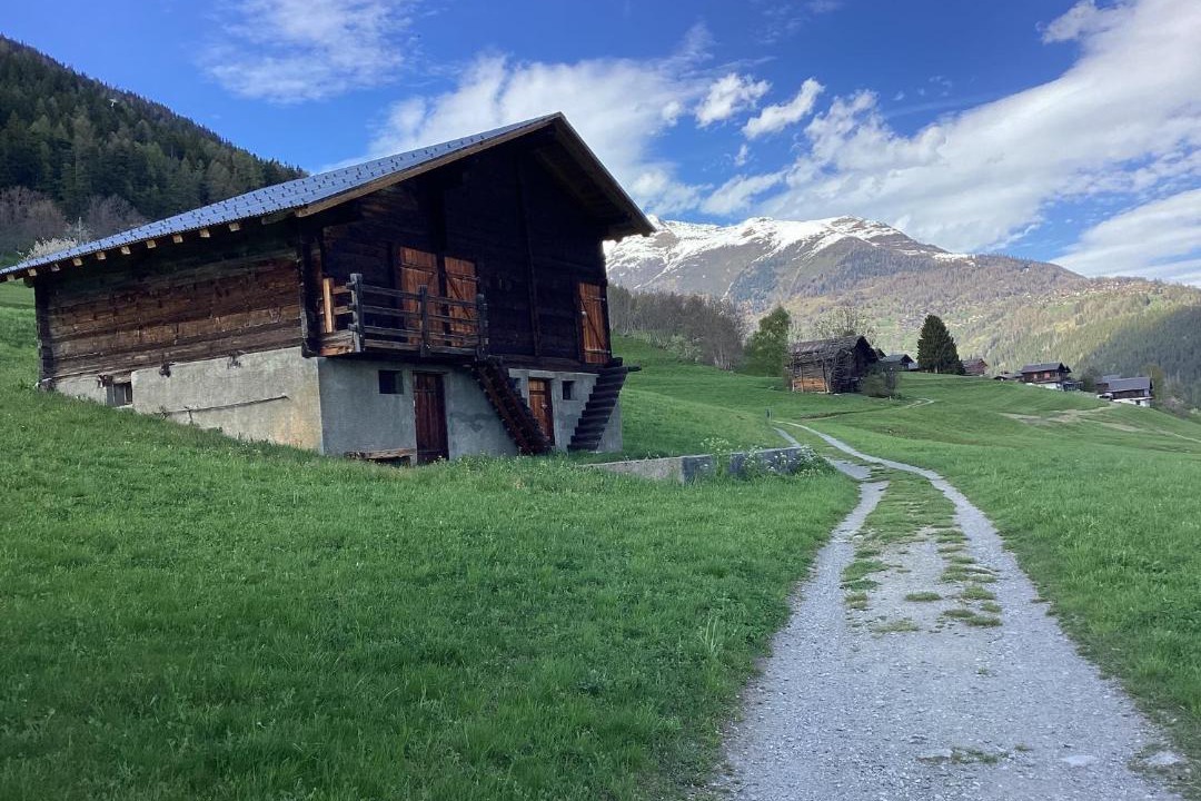 Photo of Others in Fiesch
