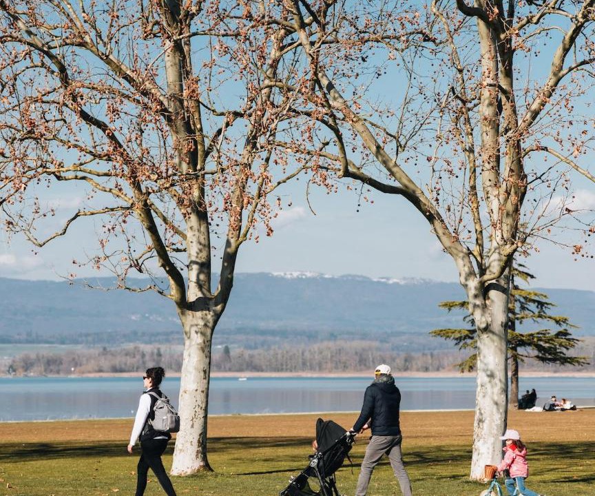 Photo of Others in Murten