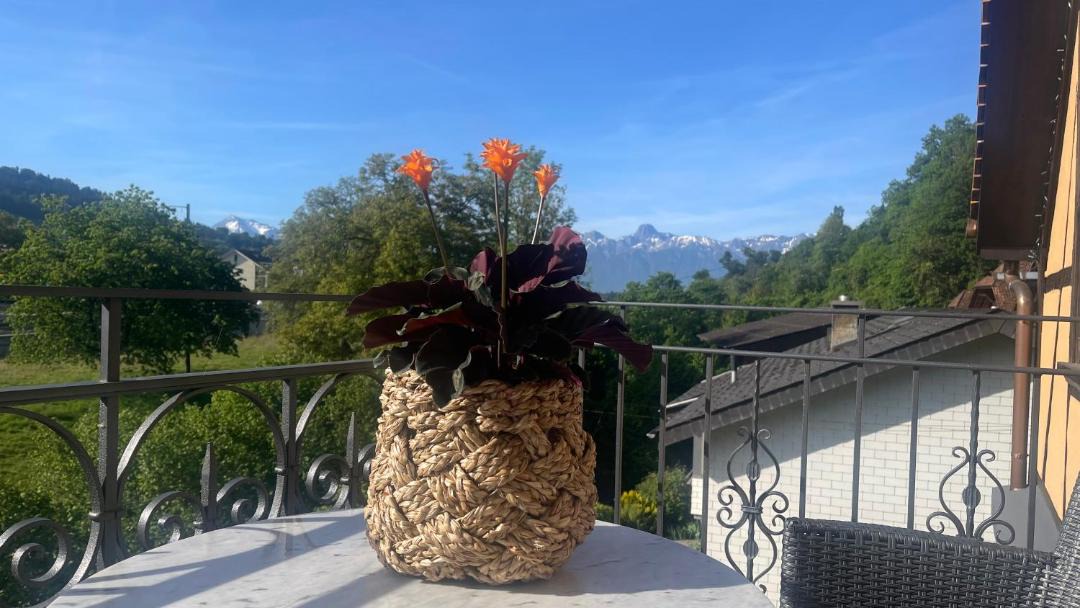Photo of Others in Oberdiessbach