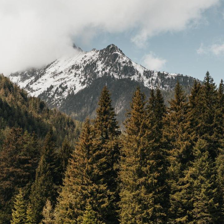Photo of Others in Champex-Lac