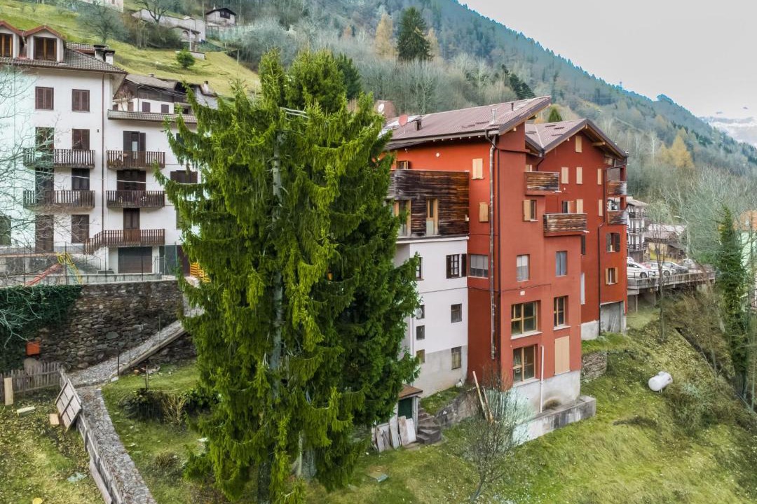Photo of Others in Valtellina