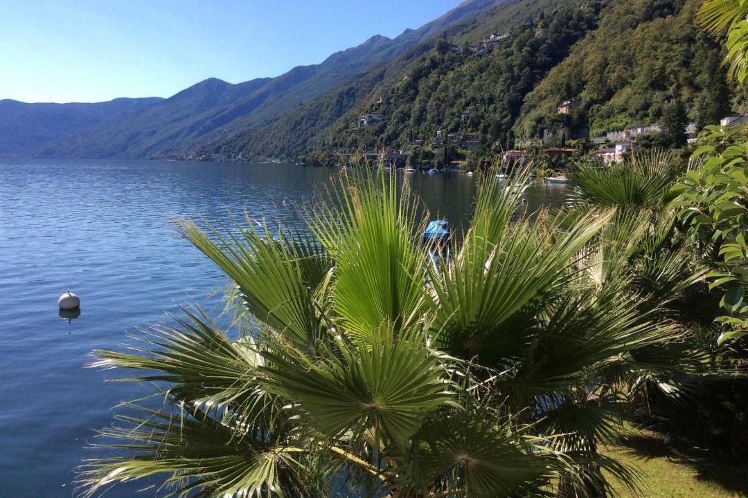 Photo of Others in Ronco sopra Ascona