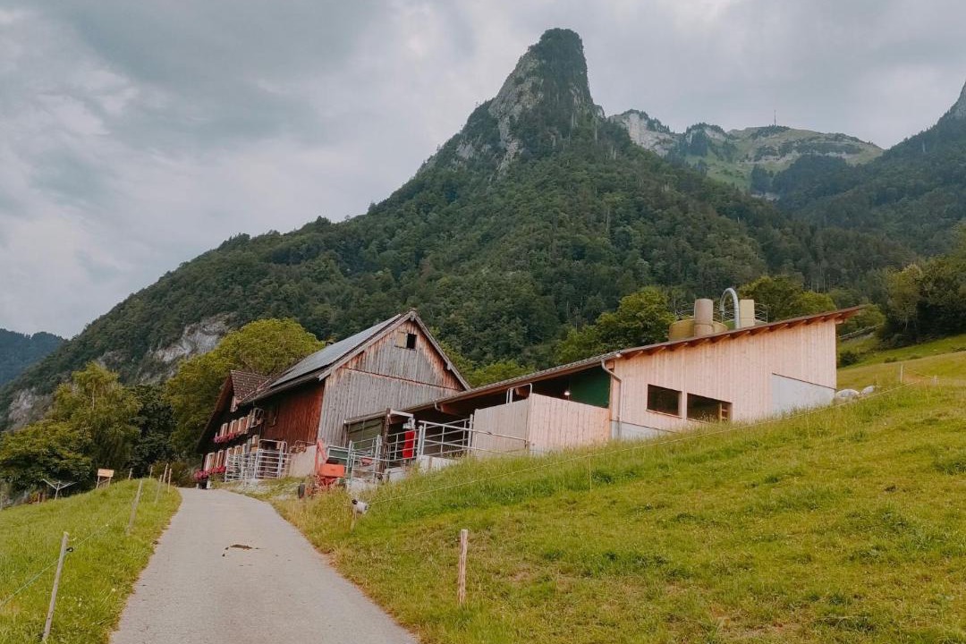 Photo of Others in Lienz