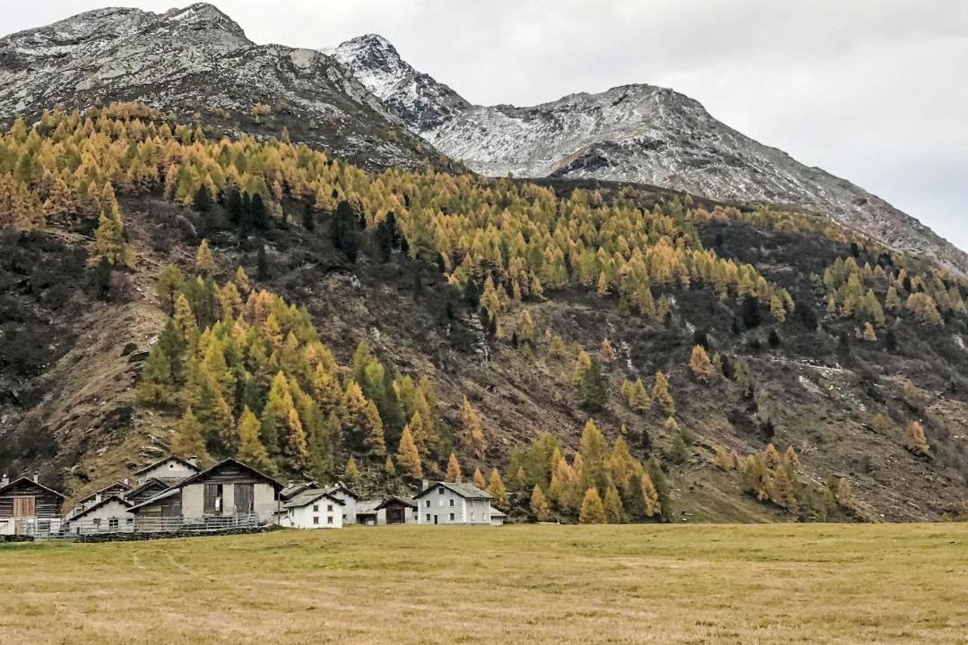 Photo of Others in Maloja