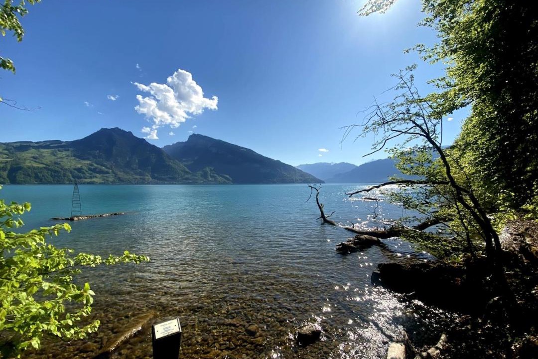 Photo of Others in Faulensee