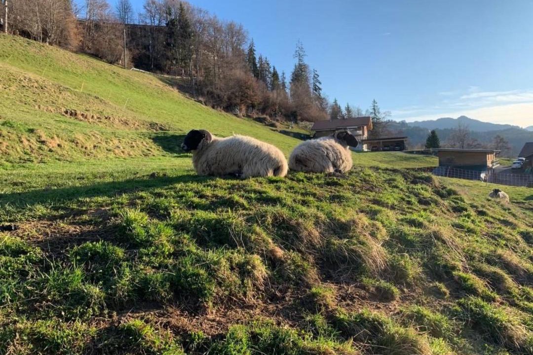Photo of Others in Sundlauenen