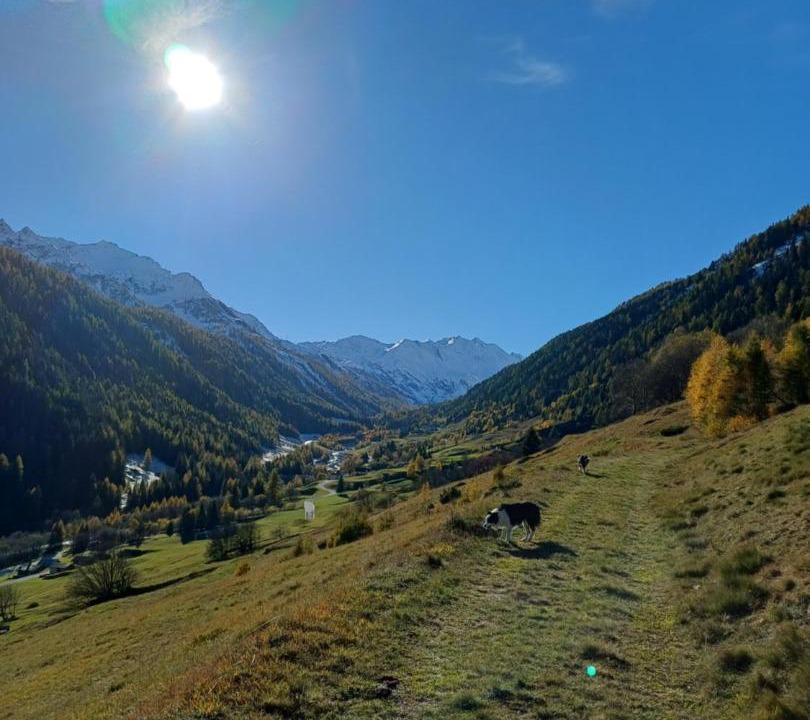 Photo of Others in Bedretto
