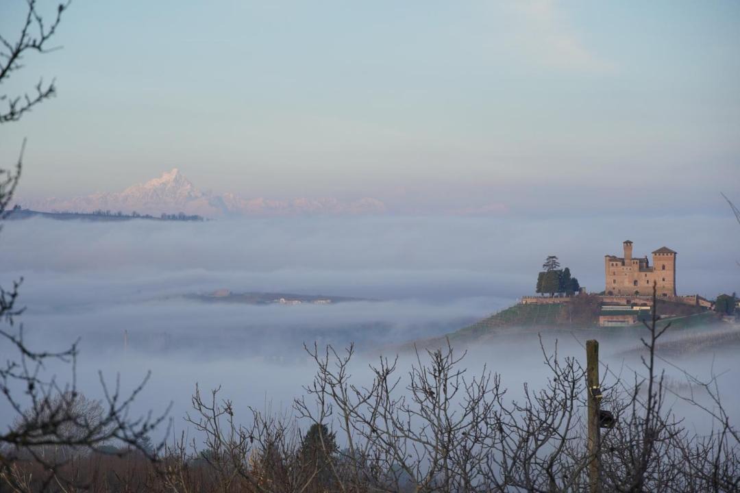 Photo of Others in Diano d'Alba