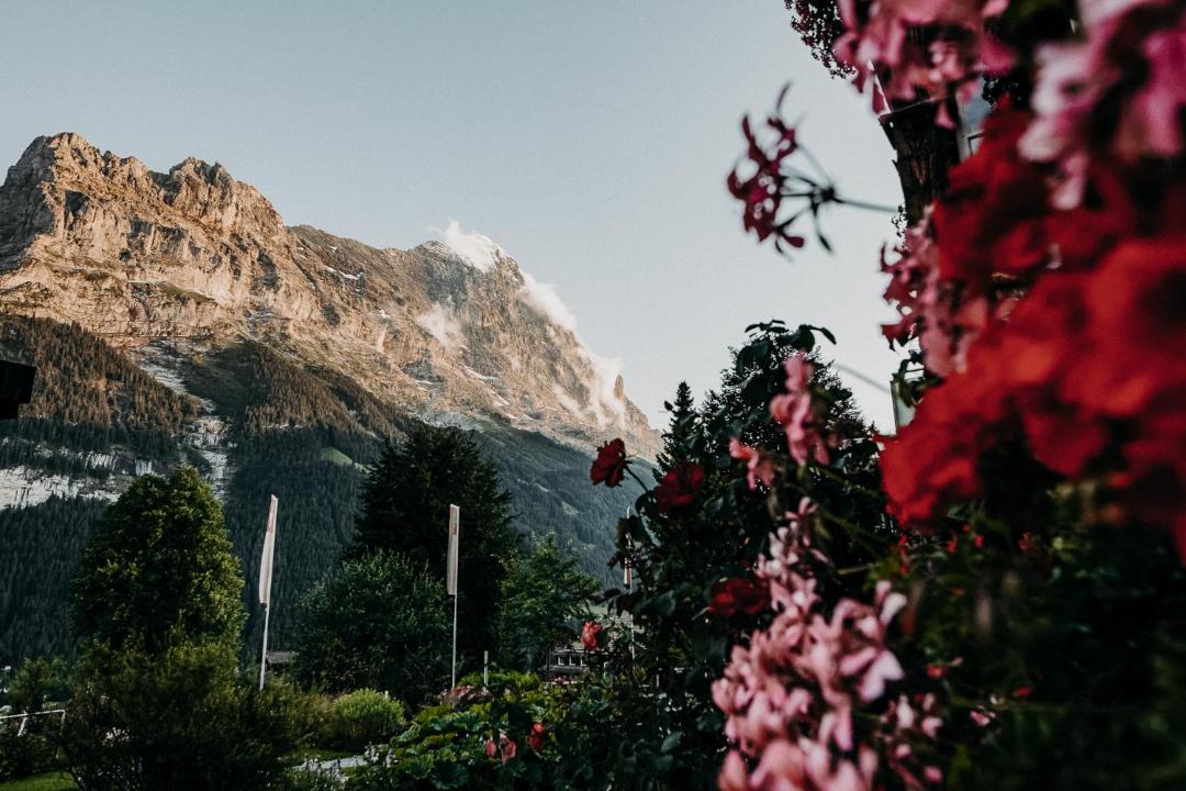 Photo of Others in Grindelwald