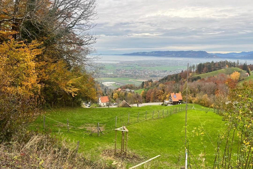 Photo of Others in Walzenhausen